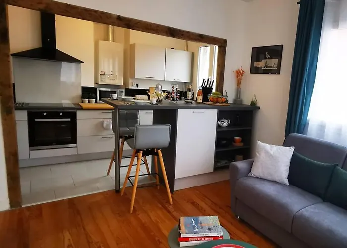 Appartement Cosy - Hyper Centre Du Havre
